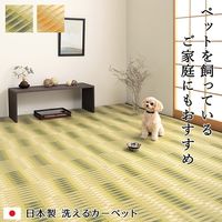 イケヒコ 日和 江戸間6畳 2610×3520mm グリーン 1090580121202 1枚（直送品）