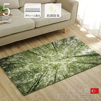 イケヒコ ガイア ラグ 800×1400mm 1320480010101 1枚（直送品）