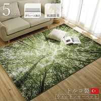 イケヒコ ガイア ラグ 1330×1900mm 1320480010201 1枚（直送品）