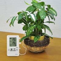 クレセル IN-OUTデジタル温度計 AP-09 1台