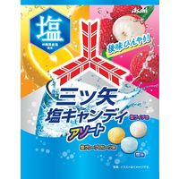 アサヒグループ食品 三ツ矢塩キャンディアソート 1セット（2袋）