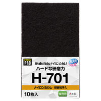 キクロンプロ H-701 ナイロンたわし10枚