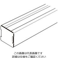 ネグロス電工 D41用エンドキャップ EC41 1個（直送品）