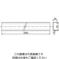 ネグロス電工 配管システムチャンネル溶融亜 ZDP3200 1本（直送品）
