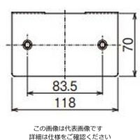 ネグロス電工 コンセントプレート標準色塗装 PCP1 1個（直送品）