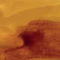 万年筆用ボトルインク ジャック・エルバン（JACQUES HERBIN) エッセンシャルインク５０ｍｌ　バルト海のアンバー  1個（直送品）