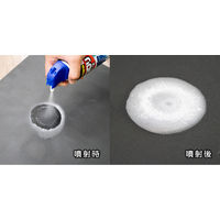 カメムシ駆除 害虫駆除剤 スプレー 虫コロリアース 凍らすジェット 300ml 殺虫剤 冷凍スプレー 害虫 駆除 対策 退治 アース製薬