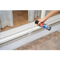 ムカデ 駆除剤 スプレー ムカデコロリ 凍らすジェット 250mL 1本 侵入阻止 予防 ムカデ対策 殺虫剤 冷凍殺虫スプレー アース製薬