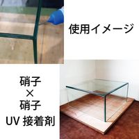 スリーナイン島野 レイグGG90 100g 74447 1個（直送品）