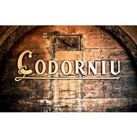 スペイン　コドルニウ クラシコ セコ スパークリングワイン　白　やや辛口　375ml 1本　日本酒類販売　カヴァ　カバ