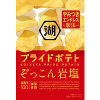 湖池屋プライドポテト ぞっこん岩塩 6袋 湖池屋 ポテトチップス スナック菓子 おつまみ