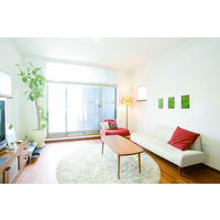 明和グラビア ルームガーデニング- RGK-02 25×60cm 1本（直送品）