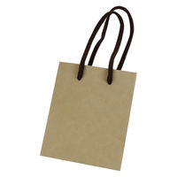 【紙袋】クラフトバッグ 真四角型 Sサイズ 1パック（10枚入 ）ハピラ