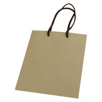 【紙袋】クラフトバッグ 真四角型 Lサイズ 1セット（50枚:10枚入×5袋 ）ハピラ