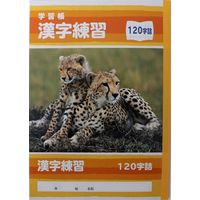 サンフレイムジャパン Ｂ5学習帳　漢字練習　120字 500-2428 1セット（10冊）（直送品）