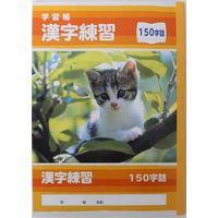 サンフレイムジャパン B5学習帳 漢字練習 150字 500-2429 1セット(10冊)（直送品）