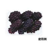 ニュートフルーツK100　400枚(100×4) FAST150　リスパック（直送品）