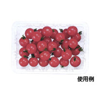 ニュートフルーツE300浅　2000枚(100×20) FAST170　リスパック（直送品）