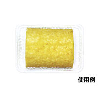 ニュートフルーツE500　1200枚(100×12) FAST200　リスパック（直送品）