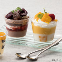 RE76-150 (EX) トウメイ　500枚(20×25) H07T181　リスパック（直送品）