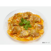 NB170 中皿1　600枚(100×6) RHIF350　リスパック（直送品）