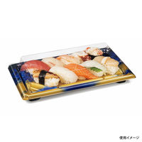 バイオ板長 2-5B きえん青　400枚(50×8) RRBC303　リスパック（直送品）