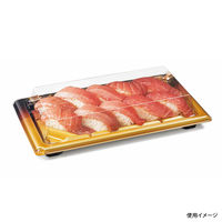 バイオ板長 2-5B おおみ金　400枚(50×8) RRBC304　リスパック（直送品）