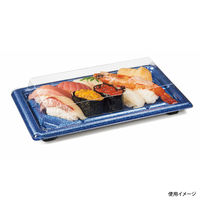 バイオ板長 2-5B ステラブルー　400枚(50×8) RRBC305　リスパック（直送品）