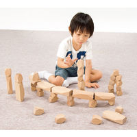 マスセット ナチュラルロッキーブロック 40個組 60711 1セット