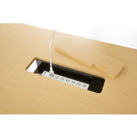 【軒先渡し】ガイアエデュケーション 抗ウィルス 抗菌ミーティングテーブル 配線BOX付 幅1800×奥行750×高720mm ホワイト 1台（直送品）