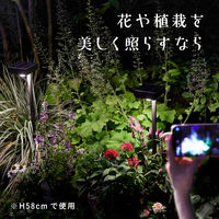 タカショー ひかりノベーション SC 花のひかり LGS-LH02P 1箱(2個入)（直送品）