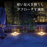 タカショー ひかりノベーション SC 道のひかり LGS-LH01P 1箱(2個入)（直送品）