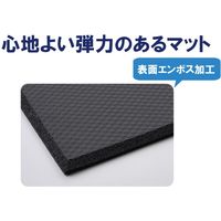 山崎産業 ケアソフト H10 F-244 1枚