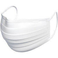 フォワード プレミアム ウイルス飛沫ブロックマスク 4層構造 個別包装 ふつうサイズ 40枚入　1袋(40枚入)×6セット（直送品）