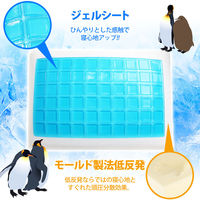 iiもの本舗 極冷感 ダブルクール 低反発枕 サックス 約28X39cm 1個入×2セット（直送品）