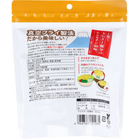 味源 たまねぎチップス うすしお味 40g　1袋(40g入)×10セット（直送品）