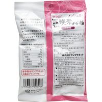 サンプラネット サヤカ 羅漢果のど飴 うめ味 ノンシュガー 60g入 1袋(60g入)×20セット（直送品）