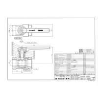 ハマイ 本格的スチーム用 黄銅製ボールバルブ RBS-77-25Rc 1個（直送品）