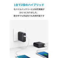 Anker PowerCore Fusion 5000 ホワイト バッテリー搭載USB充電器 4850mAh A1621021-9