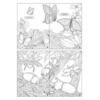 レモン ぬりえ 昆虫王国×10冊 887376x10SET 1箱（直送品）