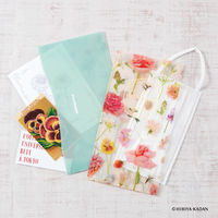 ダイゴー 日比谷花壇 ハーバリウム マルチケース 2ポケットタイプ [抗菌加工] オレンジ系 N1909 1セット（3個）（直送品）