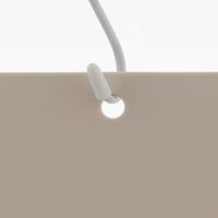 ベストコ 抗菌 抗ウイルス カッティングボード まな板 水切り こぼれにくい ワームグレー MA-3225 ザルポケ 水切りまな板（直送品）