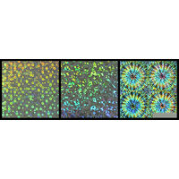 クラサワ ホログラムペーパー 25.5×36cm 9枚（3種各3枚）おりがみ H-21 1冊