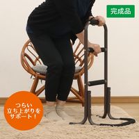 エイ・アイ・エス サポートスタンド・ハイタイプ NSH-01 BR 1台