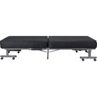 アイリスオーヤマ 折りたたみベッド OTB-PSN 1台（直送品）