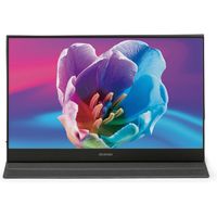 アイリスオーヤマ ポータブルモニター ILD-A16262KS-B 1台（直送品）