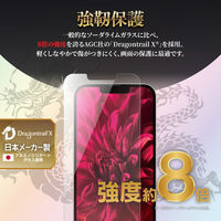 MSソリューションズ iPhone 13 Pro Max ガラスフィルム ドラゴントレイルX LP-DL21FGDX 1個
