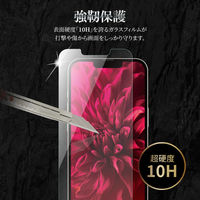 iPhone 13 mini ガラスフィルム 液晶保護フィルム GLASS PREMIUM FILM ケースに干渉しにくい（直送品）