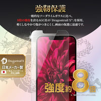 MSソリューションズ iPhone 13 mini ガラスフィルム ドラゴントレイルX クリア LP-DS21FGDX 1個