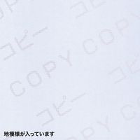 サンワサプライ マルチタイプコピー偽造防止用紙(A4・500枚入り) JP-MTCBA4N-500 1個（直送品）